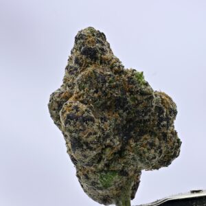 Japanese Peaches by Heavy Loads x Official Gooniez x Buddy's Bodega