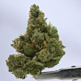 Seed Junky- Lemon up(kushington cut) x Zkittlez - Image 2