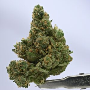 Seed Junky- Lemon up(kushington cut) x Zkittlez