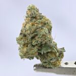 Small Batch - MAC - 1