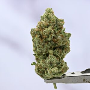 OG KUSH