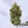 OG KUSH