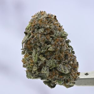 Purple Bubba Kush