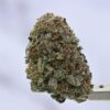Purple Bubba Kush