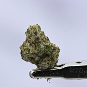 Purple Ice Pop Smalls