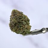 Small Batch - Red Hotz - Image 2