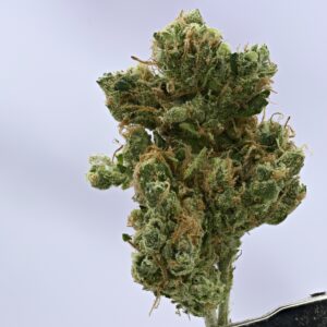 Preferred Gardens ML Sour D