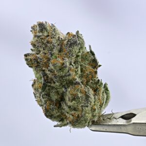 Ace Lure - Sour Creamz