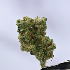 Preferred Gardens ML Sour D