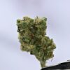 Preferred Gardens ML Sour D