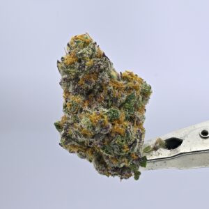 Yacht Club Jars - Black Pearl