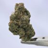 Nebula Gardenz  - Grape Gas