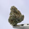 Nebula Gardenz  - Grape Gas