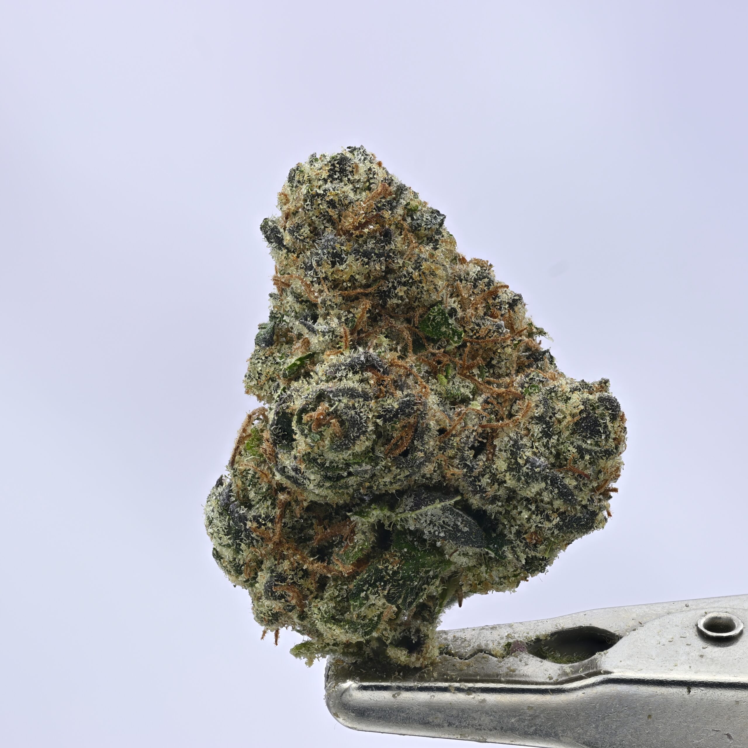 Nebula – Grape Gas