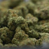 Sour Animal Cookies - Image 3