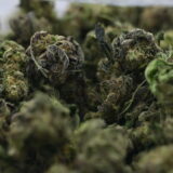 NTK Untrimmed Smalls - Hash Burger - Image 3
