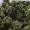 NTK Untrimmed Smalls - Hash Burger