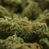 Sour Tangie