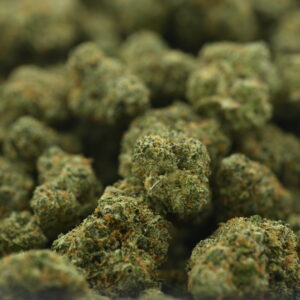 Mixed Light Preferred Gardens - Durban Poison