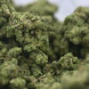 Sour Animal Smalls