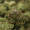 Mango Haze