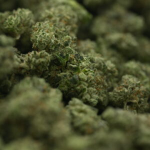 Wood Wide- Gorilla Glue