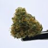 NTK Untrimmed Smalls - Lemon Banana Sherbert
