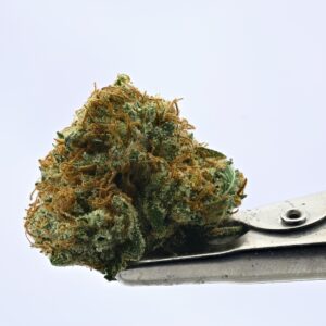 NTK Untrimmed Smalls - Lemon Banana Sherbert