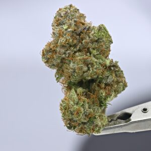 Mango Haze