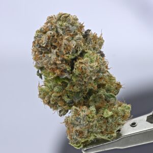 Mango Haze
