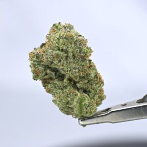 Cadre Verde - Memberberry