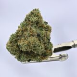 Sour Animal Cookies - Image 2