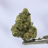 Sour Animal Cookies