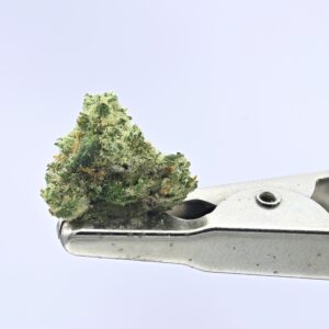 Sour Animal Smalls
