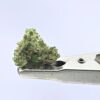 Sour Animal Smalls