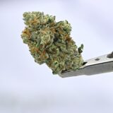 Yacht Club Jars - White Lightening 7g - Image 3