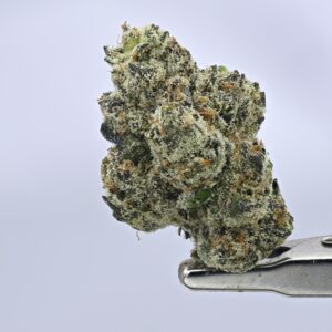 Berry Popz