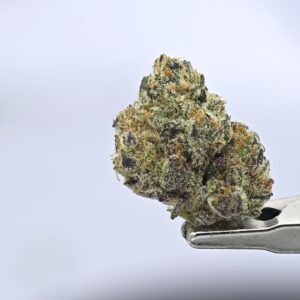 Yacht Club Jar- Blue Water Candy 7g