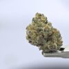 Yacht Club Jar- Blue Water Candy 7g