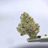 Yacht Club Jar- Blue Water Candy 7g
