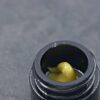 HRC T2- Breadfruit