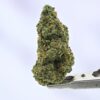 Mixed Light Preferred Gardens - Durban Poison