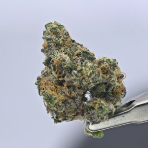 Yacht Club Jars -Flying Dutchman