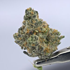 Yacht Club Jars -Flying Dutchman