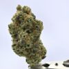 Doja - Lime Sickle