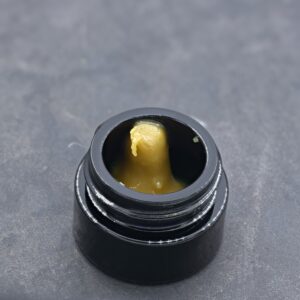 HRC T2- Papaya Melonz