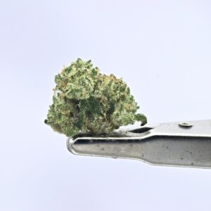 Sour Animal Smalls