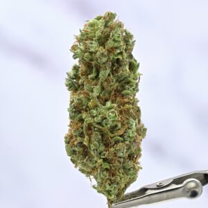 Sour Tangie