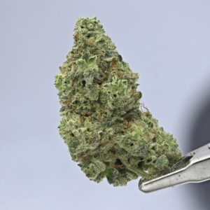 Wood Wide- Gorilla Glue