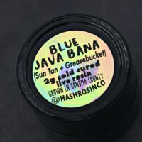 HRC T2 –Blue Java Bana